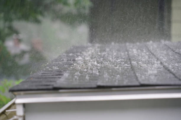 Best Steel Roofing  in Elwood, IL